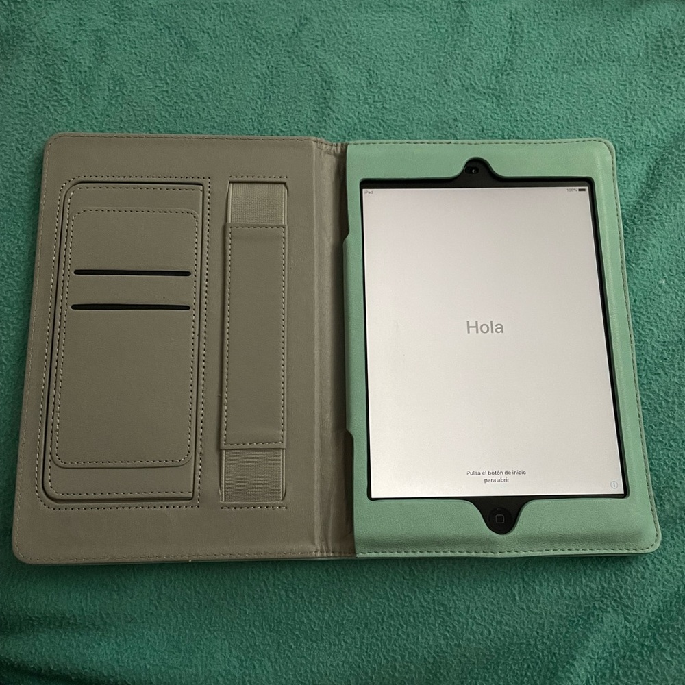 Gen 1 Apple iPad Mini with Mint Case